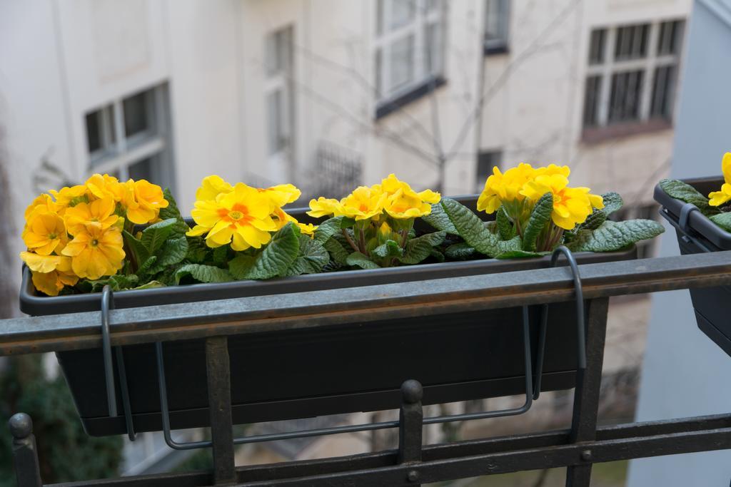 Apartmán Decadent Art Deco Balcony Apartment In Old Town Prague